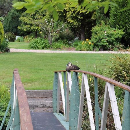 Affittacamere Altona Garden Retreat Spreyton Esterno foto