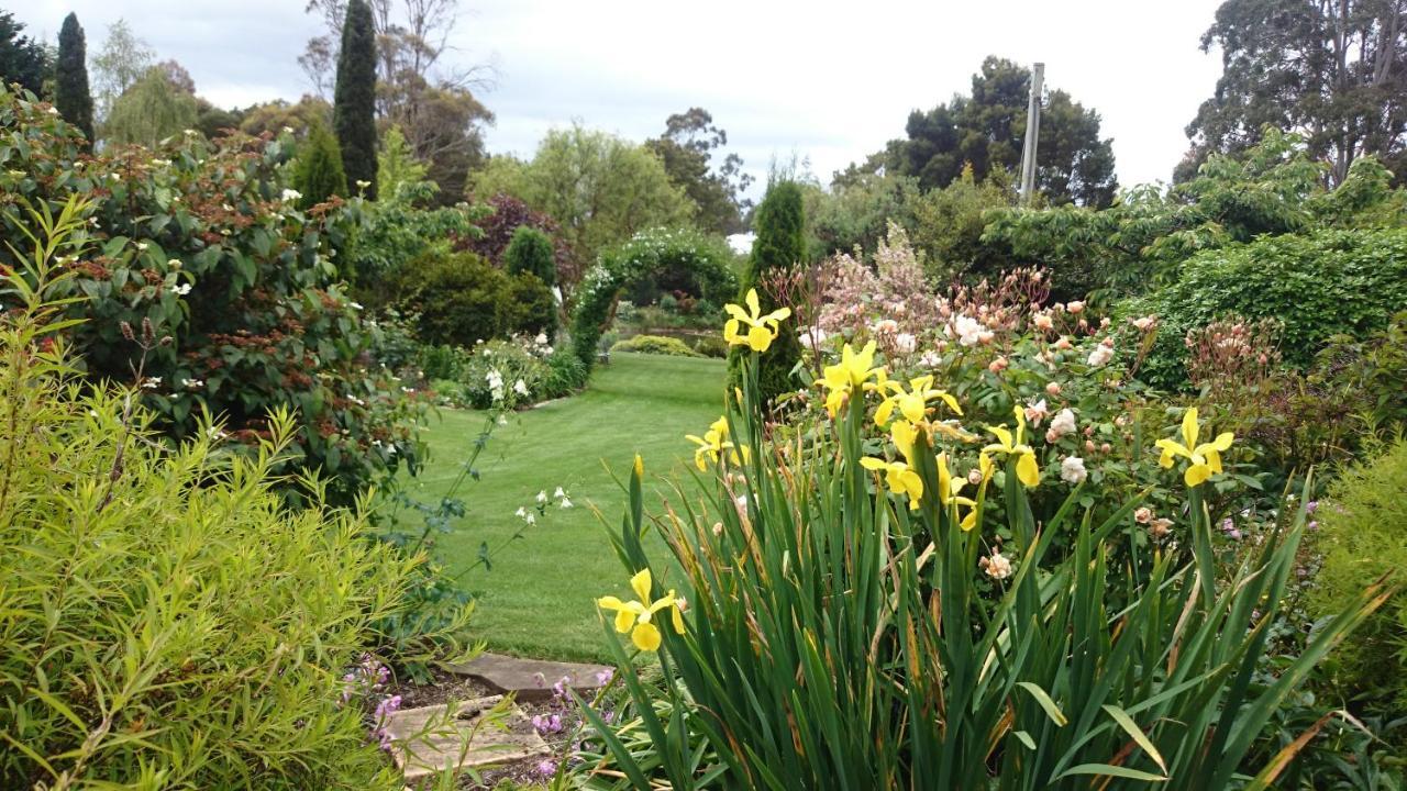 Affittacamere Altona Garden Retreat Spreyton Esterno foto