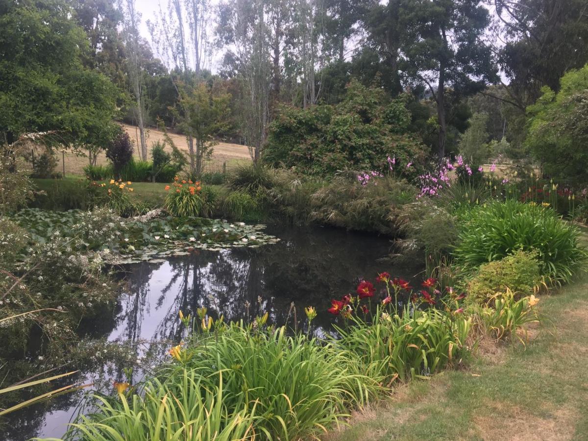 Affittacamere Altona Garden Retreat Spreyton Esterno foto