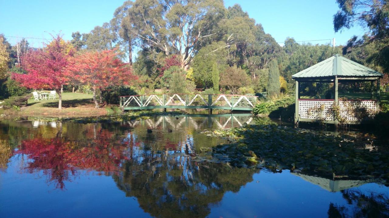 Affittacamere Altona Garden Retreat Spreyton Esterno foto